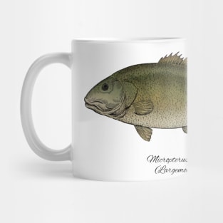 micropterus salmoides Mug